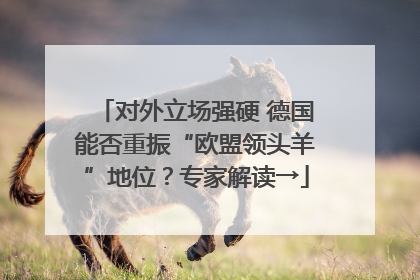 对外立场强硬 德国能否重振“欧盟领头羊”地位？专家解读→