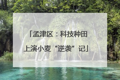 孟津区：科技种田 上演小麦“逆袭”记