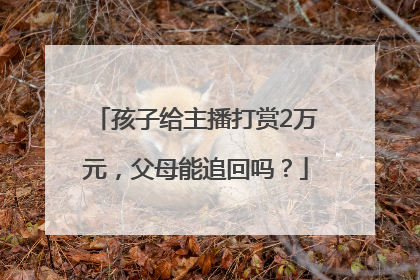 孩子给主播打赏2万元，父母能追回吗？