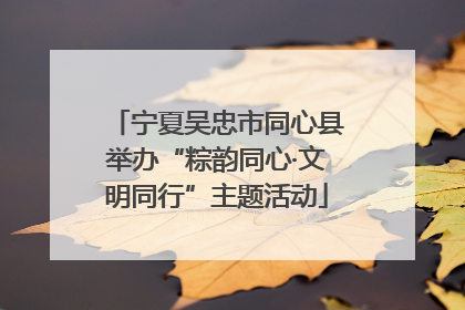 宁夏吴忠市同心县举办“粽韵同心·文明同行”主题活动