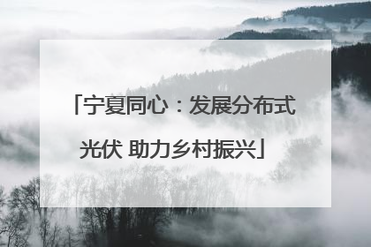 宁夏同心：发展分布式光伏 助力乡村振兴
