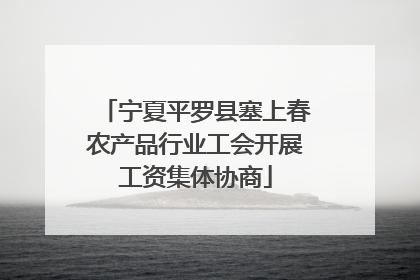 宁夏平罗县塞上春农产品行业工会开展工资集体协商
