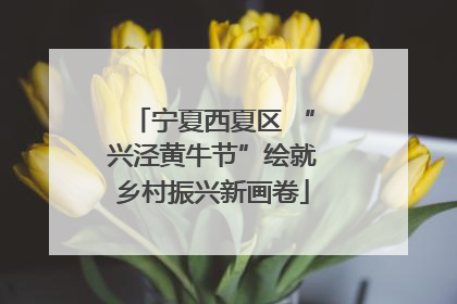 宁夏西夏区 “兴泾黄牛节”绘就乡村振兴新画卷