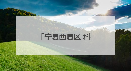宁夏西夏区 科技特派员助力“紫色经济”酿出乡村振兴新风味