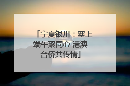 宁夏银川：塞上端午聚同心 港澳台侨共传情