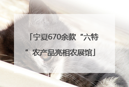 宁夏670余款“六特”农产品亮相农展馆