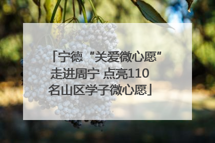 宁德“关爱微心愿”走进周宁 点亮110名山区学子微心愿