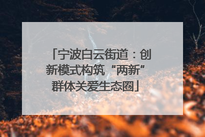 宁波白云街道：创新模式构筑“两新”群体关爱生态圈