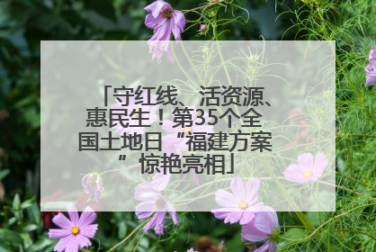 守红线、活资源、惠民生！第35个全国土地日“福建方案”惊艳亮相