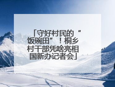 守好村民的“饭碗田”！桐乡村干部凭啥亮相国新办记者会