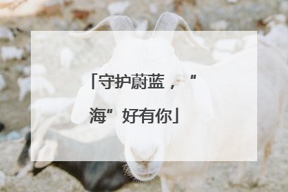 守护蔚蓝，“海”好有你