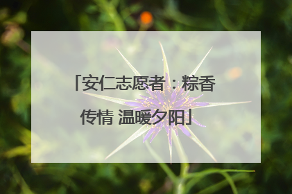 安仁志愿者：粽香传情 温暖夕阳