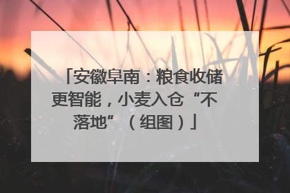 安徽阜南：粮食收储更智能，小麦入仓“不落地”（组图）