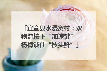 宜章县水浸窝村：双物流按下“加速键” 杨梅锁住“枝头鲜”
