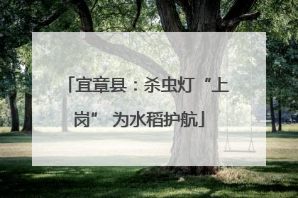 宜章县：杀虫灯“上岗” 为水稻护航