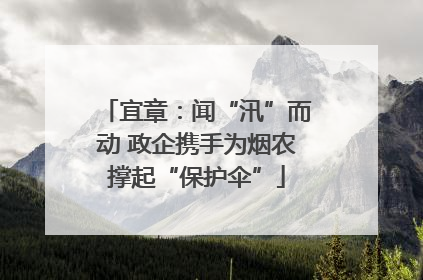 宜章：闻“汛”而动 政企携手为烟农撑起“保护伞”