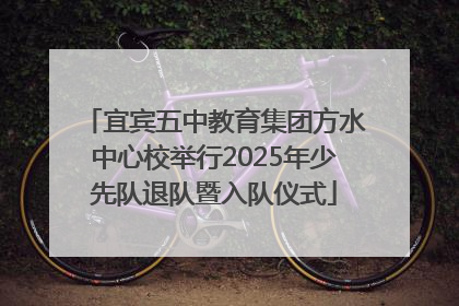 宜宾五中教育集团方水中心校举行2025年少先队退队暨入队仪式