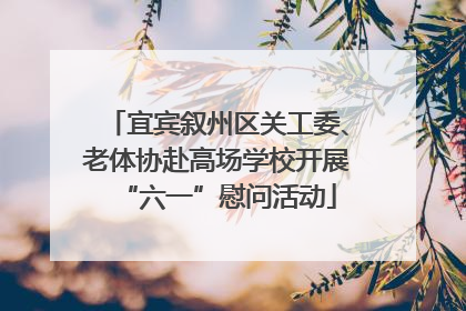 宜宾叙州区关工委、老体协赴高场学校开展“六一”慰问活动