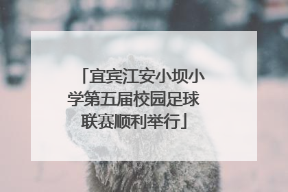 宜宾江安小坝小学第五届校园足球联赛顺利举行