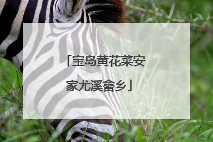 宝岛黄花菜安家尤溪畲乡