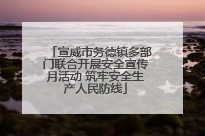宣威市务德镇多部门联合开展安全宣传月活动 筑牢安全生产人民防线