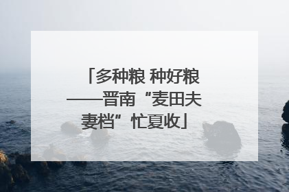 多种粮 种好粮——晋南“麦田夫妻档”忙夏收