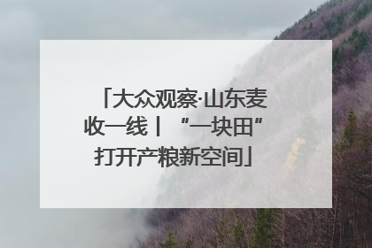 大众观察·山东麦收一线丨“一块田”打开产粮新空间