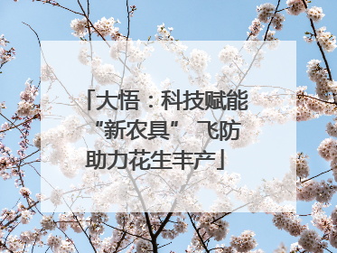 大悟：科技赋能“新农具” 飞防助力花生丰产
