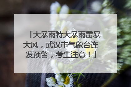 大暴雨特大暴雨雷暴大风，武汉市气象台连发预警，考生注意！