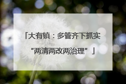 大有镇：多管齐下抓实“两清两改两治理”