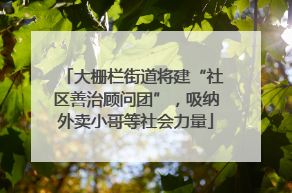 大栅栏街道将建“社区善治顾问团”，吸纳外卖小哥等社会力量
