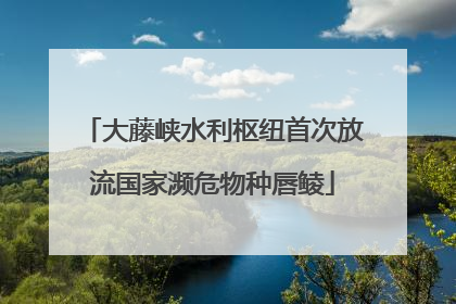 大藤峡水利枢纽首次放流国家濒危物种唇鲮