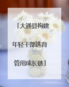 大通县构建年轻干部选育管用成长链