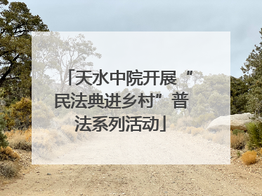 天水中院开展“民法典进乡村”普法系列活动