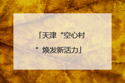 天津“空心村”焕发新活力
