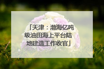 天津：渤海亿吨级油田海上平台陆地建造工作收官