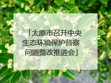 太原市召开中央生态环境保护督察问题整改推进会