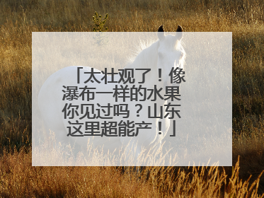 太壮观了！像瀑布一样的水果你见过吗？山东这里超能产！