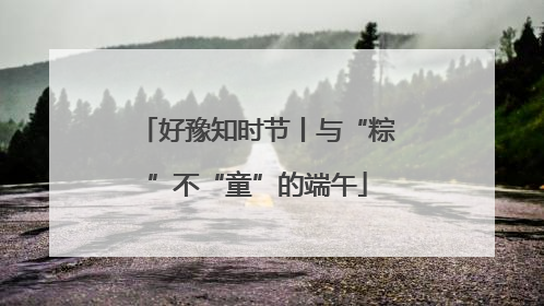 好豫知时节丨与“粽”不“童”的端午
