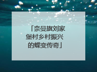奈曼旗刘家堡村乡村振兴的蝶变传奇