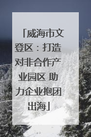威海市文登区：打造对非合作产业园区 助力企业抱团出海