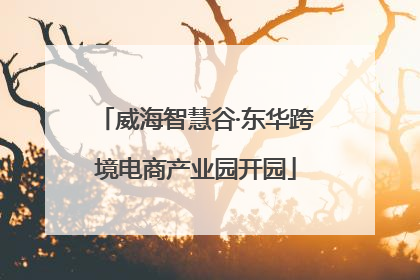威海智慧谷·东华跨境电商产业园开园
