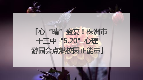 心“晴”盛宴！株洲市十三中“5.20”心理游园会点燃校园正能量
