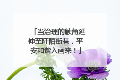 当治理的触角延伸至阡陌街巷，平安和谐入画来！