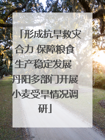 形成抗旱救灾合力 保障粮食生产稳定发展 丹阳多部门开展小麦受旱情况调研