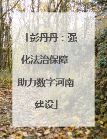 彭丹丹：强化法治保障 助力数字河南建设