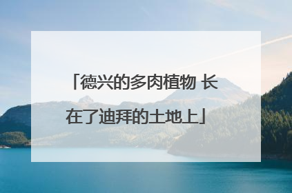 德兴的多肉植物 长在了迪拜的土地上