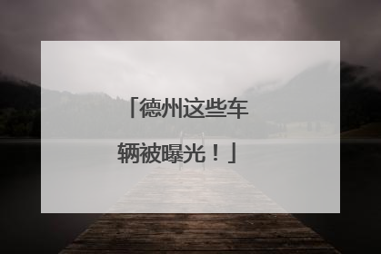 德州这些车辆被曝光！