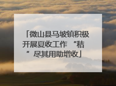 微山县马坡镇积极开展夏收工作 “秸”尽其用助增收