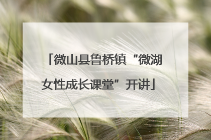 微山县鲁桥镇“微湖女性成长课堂”开讲